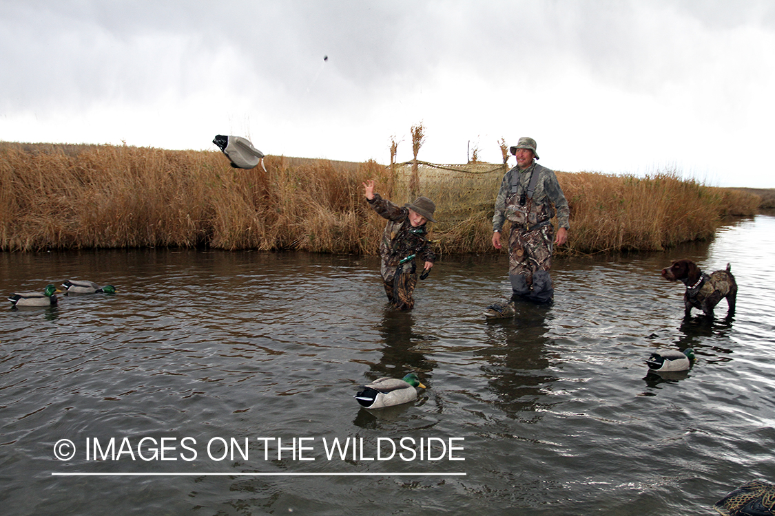 Father and son waterfowl hunters setting up decoys.