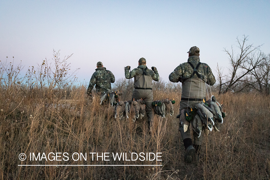 Waterfowl hunting