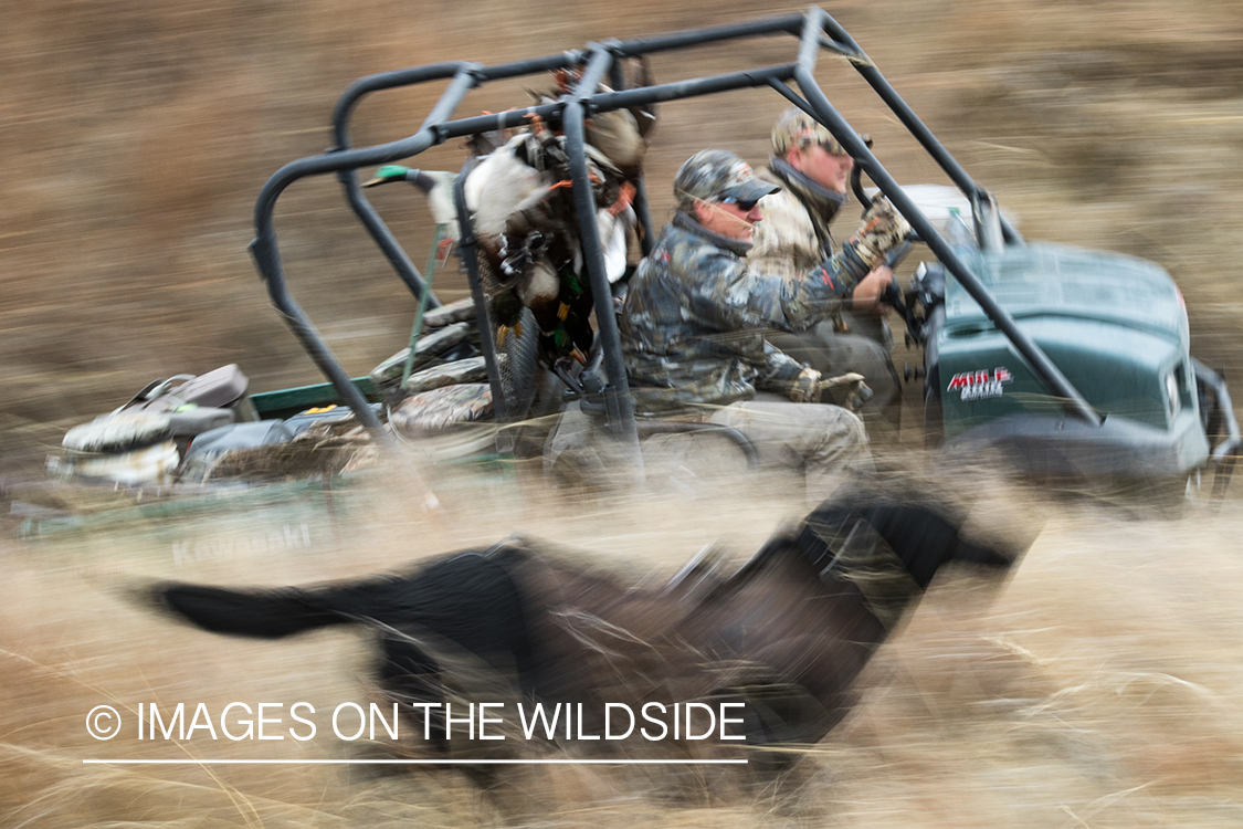 Waterfowl hunting