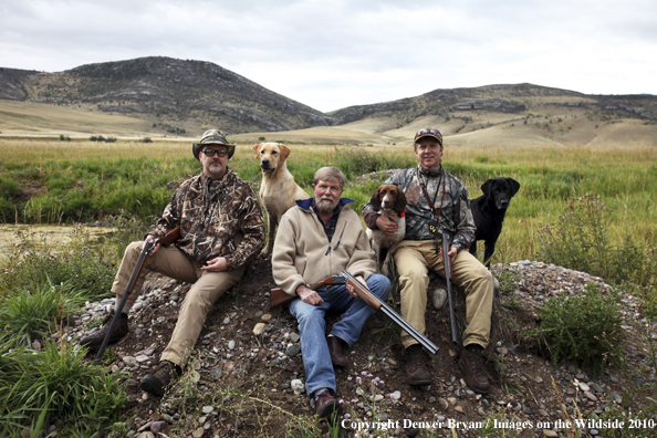 Dove Hunting