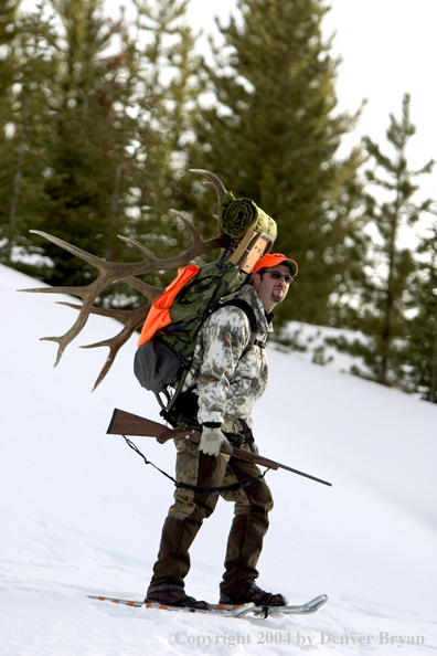 Big game hunter packing elk rack out on snowshoes.