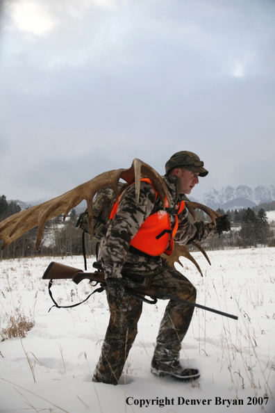 Moose hunter in field