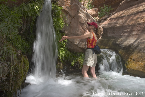 Hiker exploring feeder stream/waterfall of the Colorado River.  Grand Canyon.