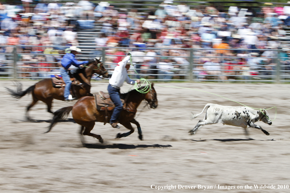 Augusta Rodeo