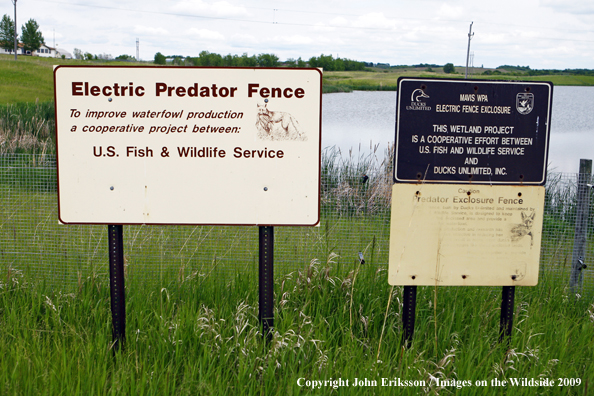 Electric fence on wetlands