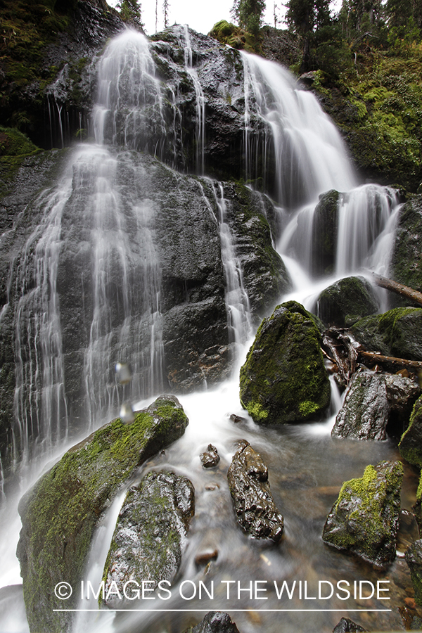 Waterfall in the Rocky Mountains.