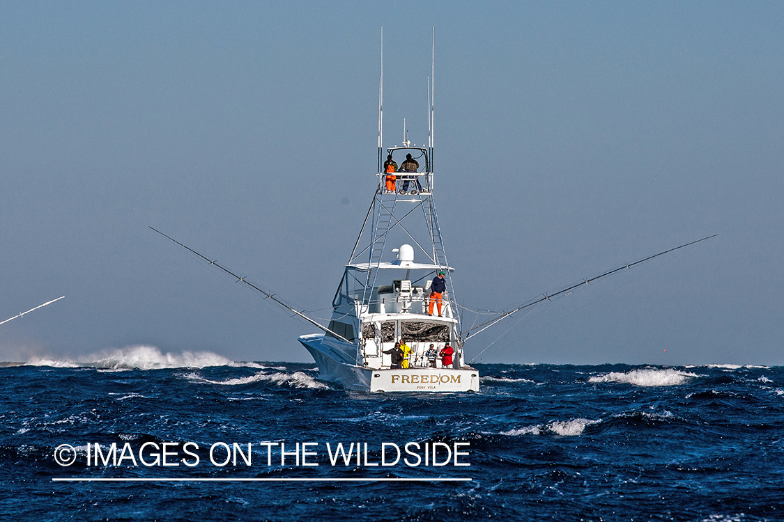 Fishermen on deep sea fishing boat with fishing rods.