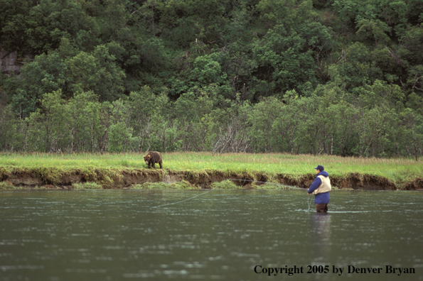 Flyfishermen fishing with brown/grizzly bear in background.