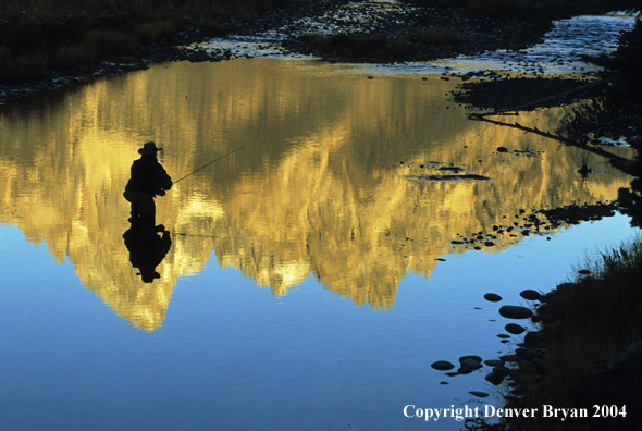 Flyfisherman casting on river.