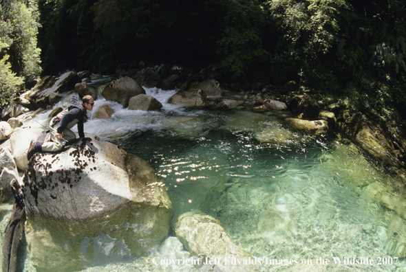 Angler surveys small pool on creek