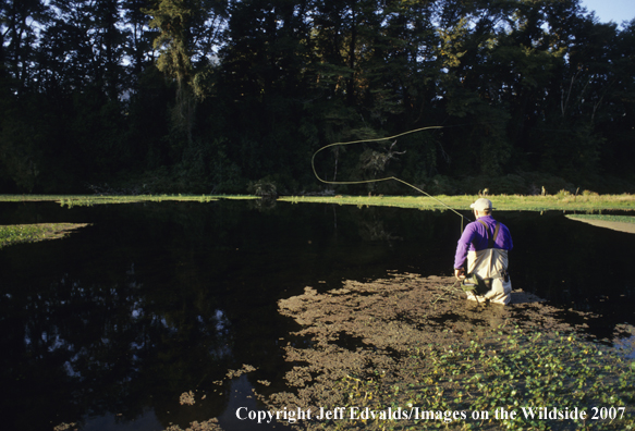 Flyfisherman in pool