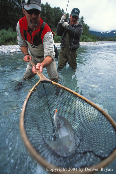 Flyfisherman and guide netting arctic char.