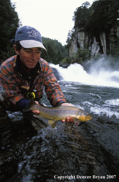 Flyfisherman holding brown trout.