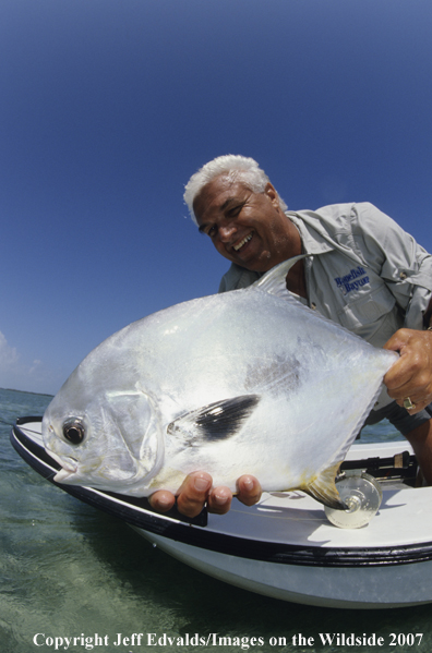 Nice Permit