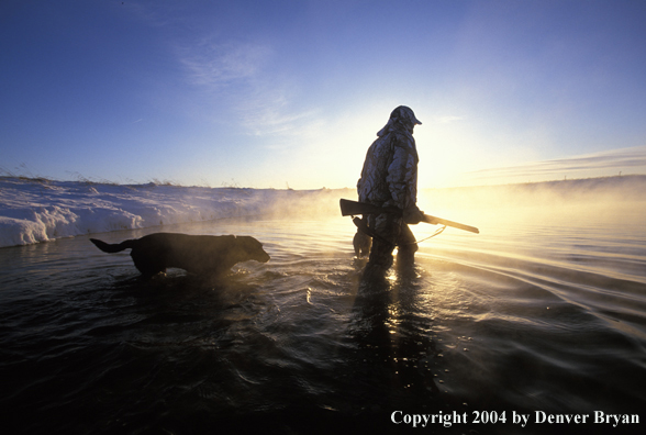 Waterfowl hunter with fowl and black Lab. 