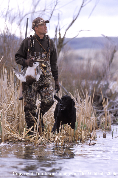 Waterfowl hunter with black labrador.