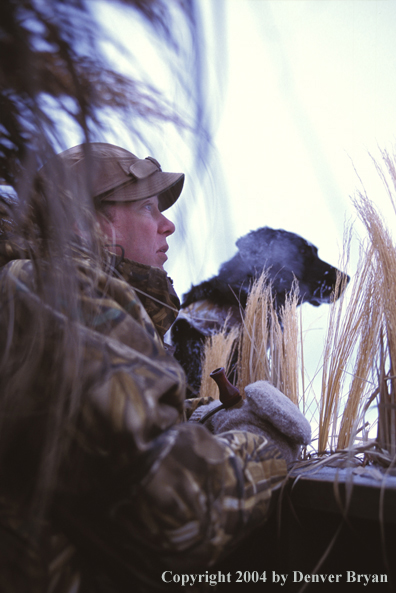 Waterfowl hunter with black Lab. 