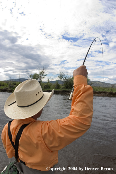 Flyfisherman playing fish.