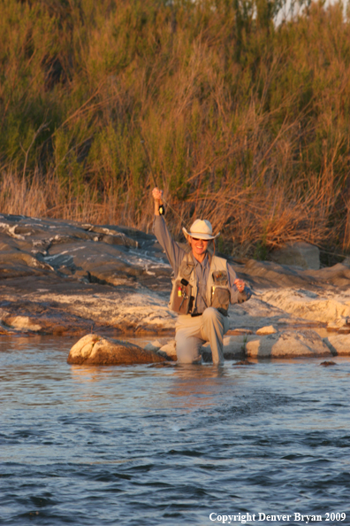 Woman flyfishing