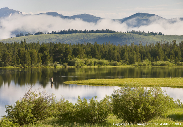 Flyfishing in Hebgen Lake, Montana. 