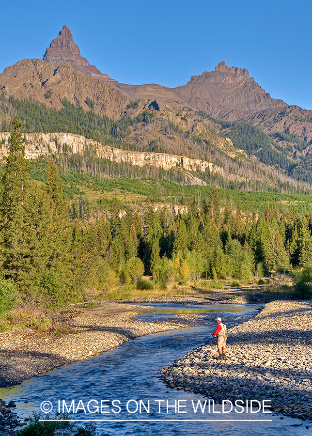 Flyfishing on Clark's Fork of Yellowstone, MT.