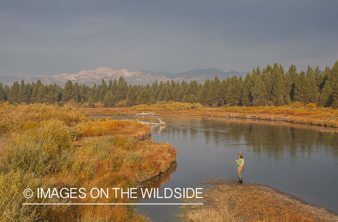 Flyfishing woman on the Madison River.