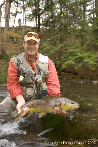 Close-up of nice brown trout.