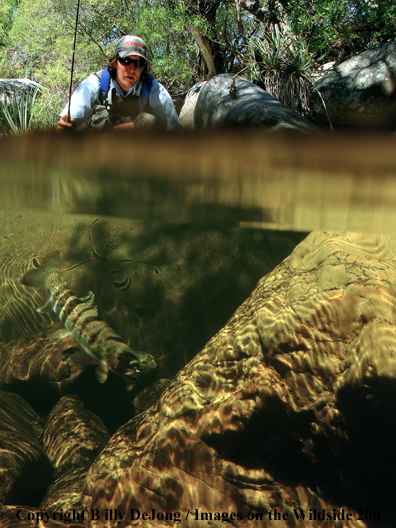 Flyfisherman with rainbow trout