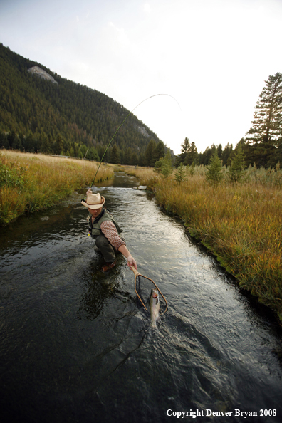 Flyfisherman Landing Rainbow Trout