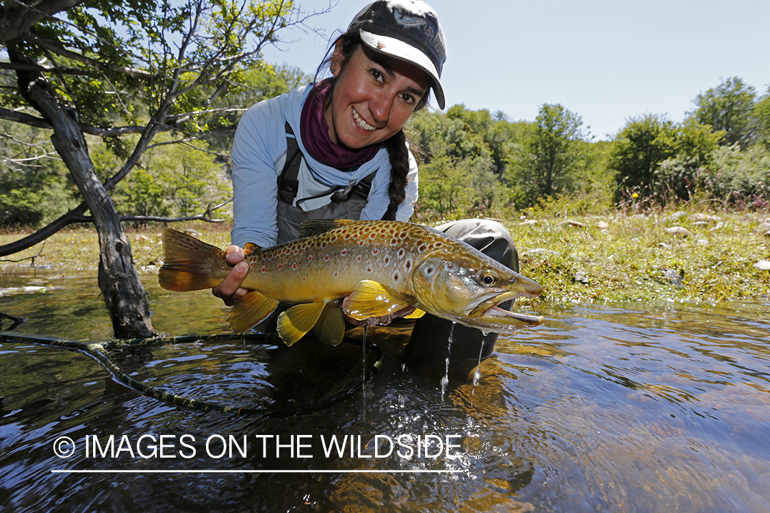 Flyfishing woman releasing brown trout.