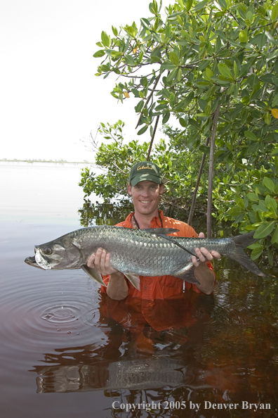 Flyfisherman w/tarpon 