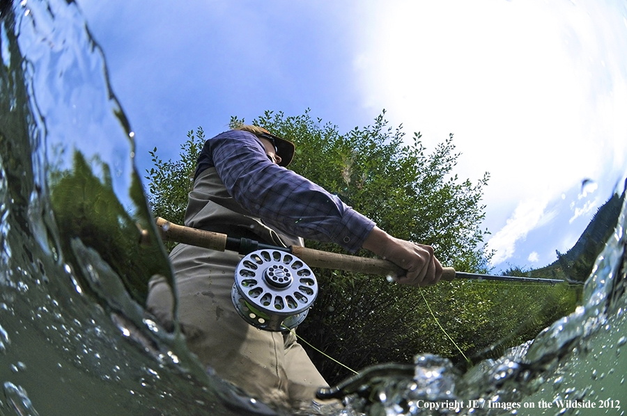 Flyfisher on river.