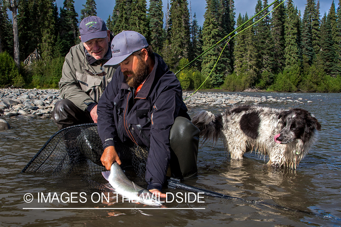 Flyfishing for steelhead on Nass River, British Columbia.