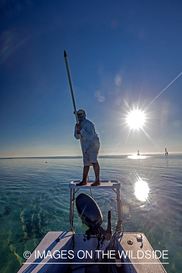 Guide push pulling on flats boat.