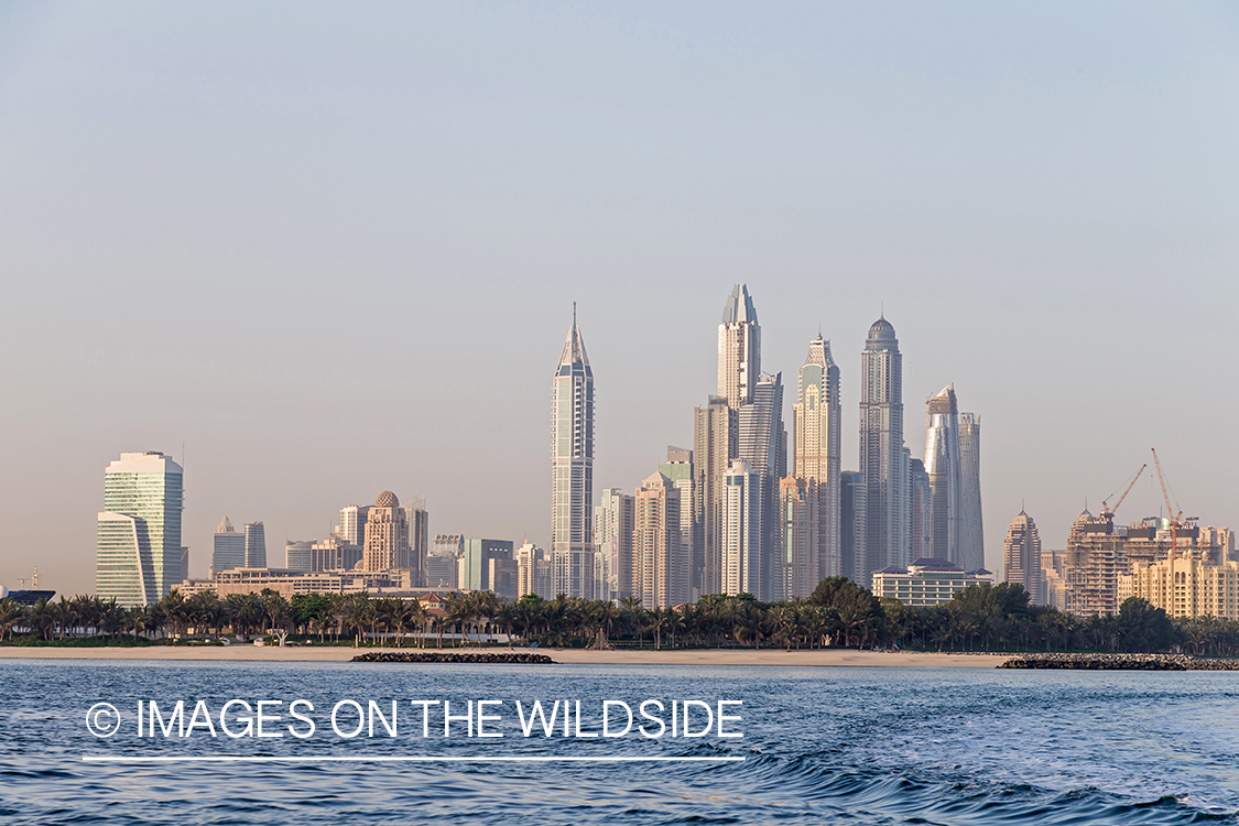 Skyline off the coast of Dubai, UAE.