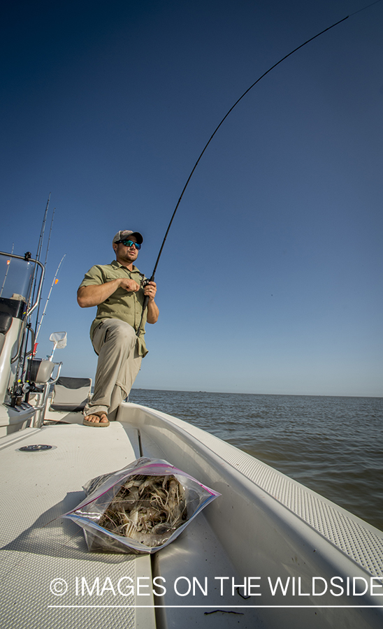 Fisherman on boat next to bate.