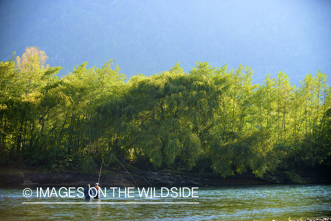 Flyfishermen on river in Chile.
