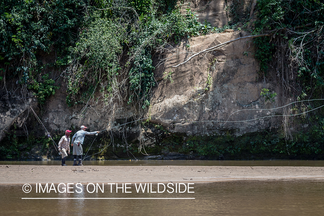 Flyfishing for Golden Dorado in Bolivia.