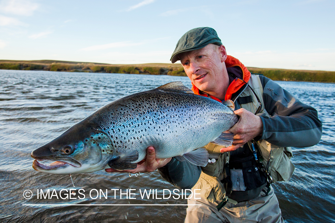 Flyfisherman with sea run brown trout, in Patagonia.