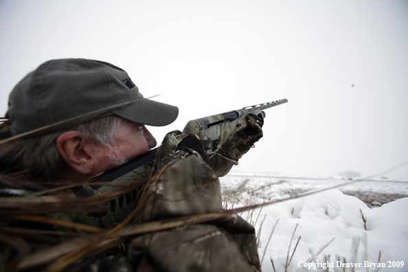 Waterfowl hunter aiming gun.