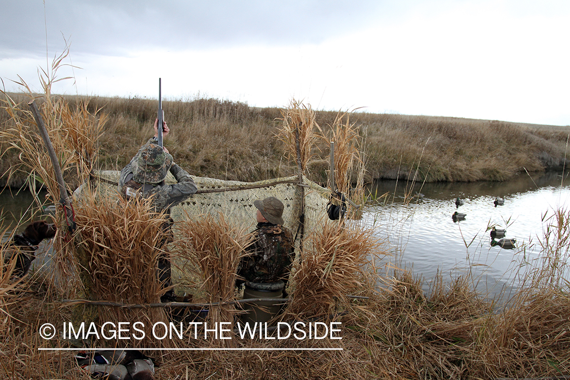 Father and son waterfowl hunters shooting at waterfowl.