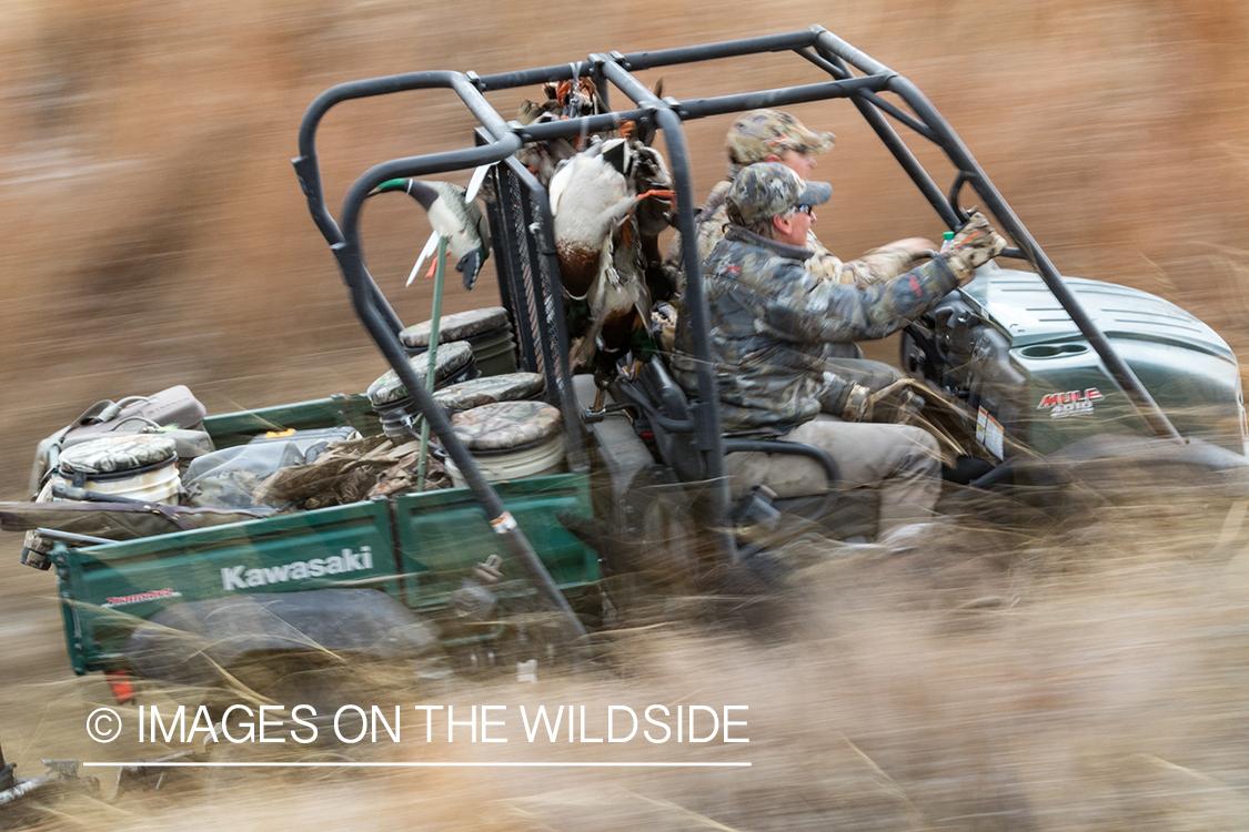 Waterfowl hunting