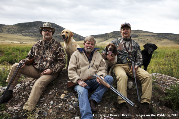 Dove Hunting