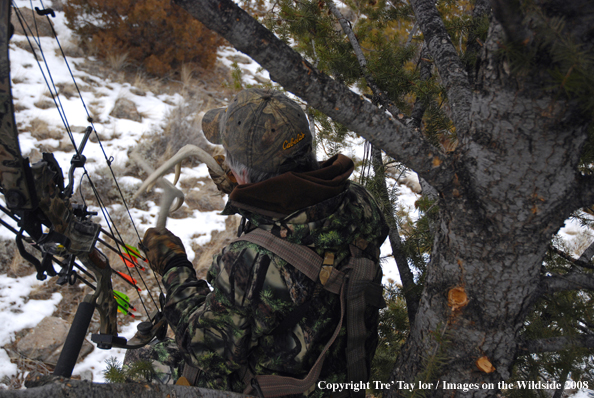 Bowhunter rattling horns from tree stand