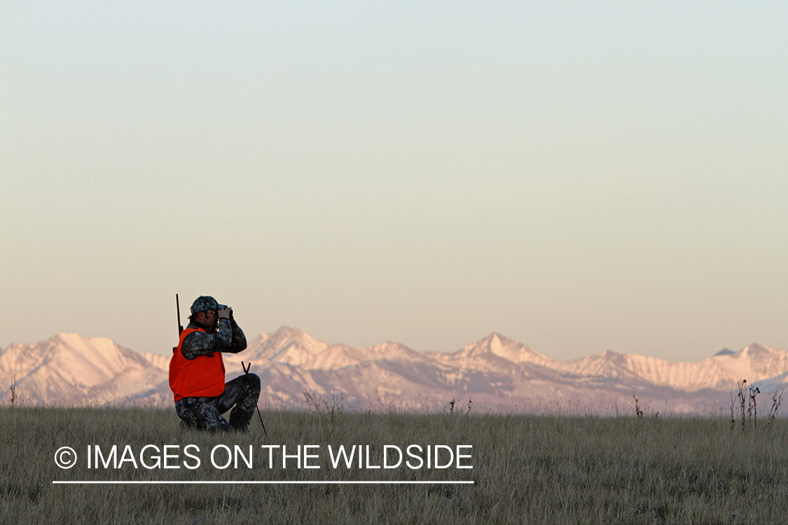 Big game hunter glassing for game in field. 