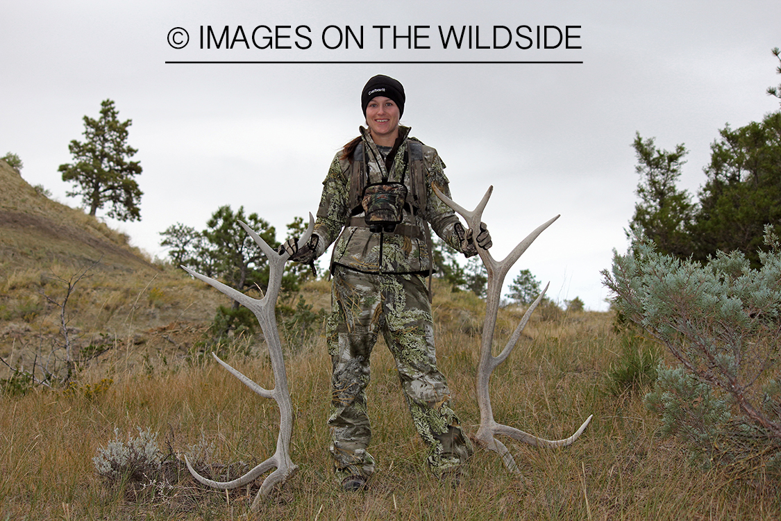 Shed hunter with elk sheds.