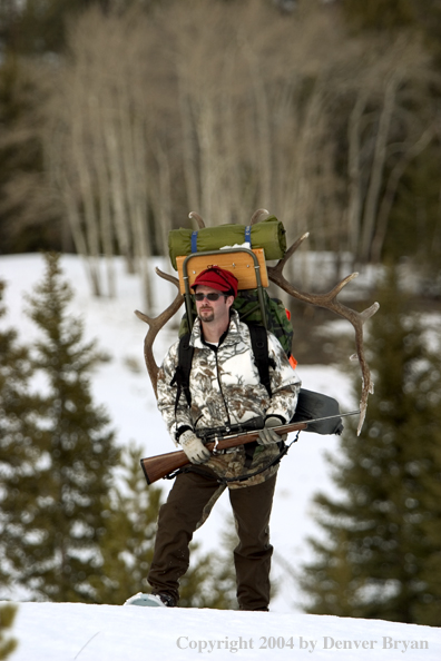 Big game hunter packing elk rack out on snowshoes.