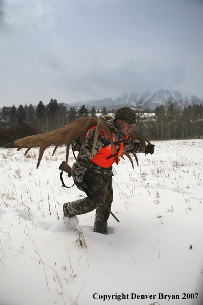 Moose hunter in field