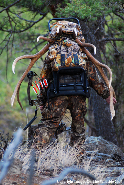 Bowhunter in field with elk rack.