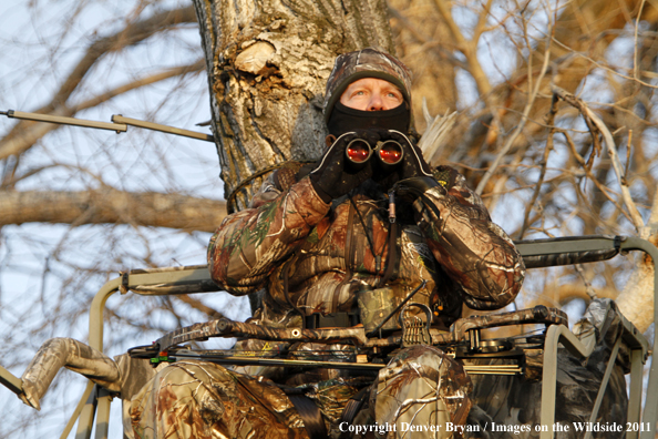 Bowhunter scouting from tree stand. 